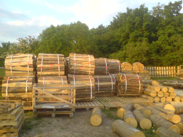 DSC00272.JPG