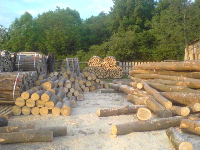 DSC00270.JPG