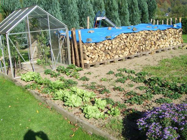 Resize of SV101963.JPG