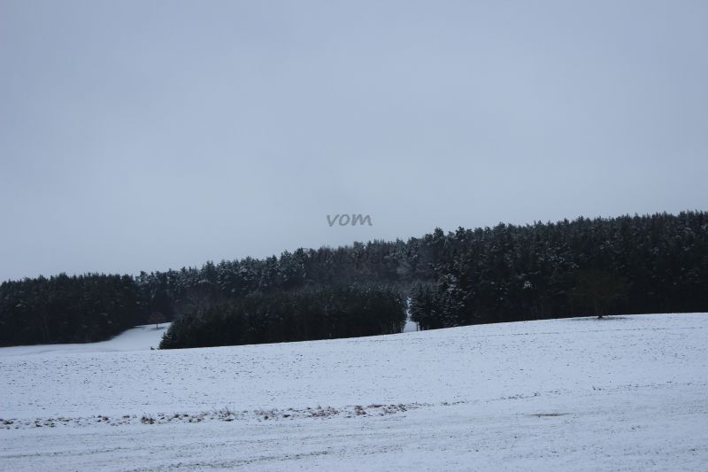 Bildla Nummä 011.jpg