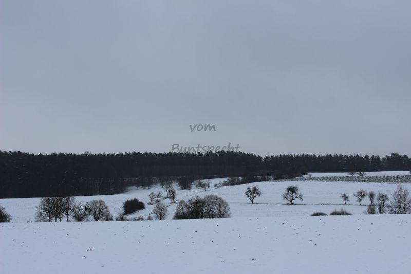 Bildla Nummä 013.jpg