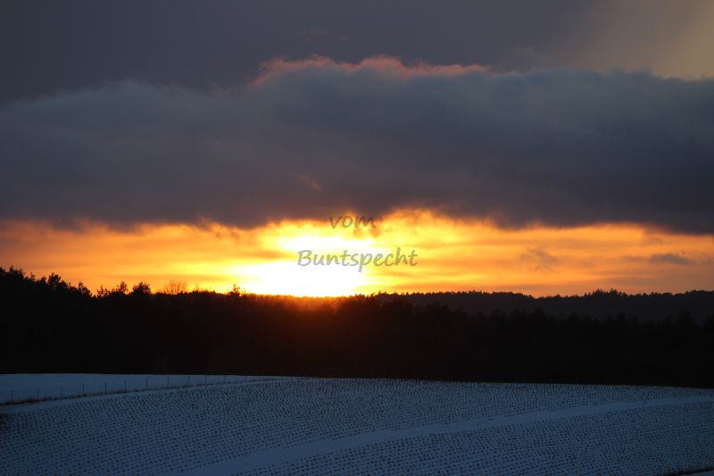 Bildla Nummä 004.jpg