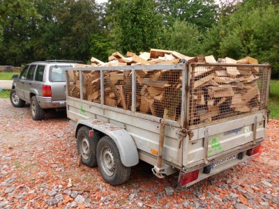 Anhänger  6 SRM Frisch.jpg