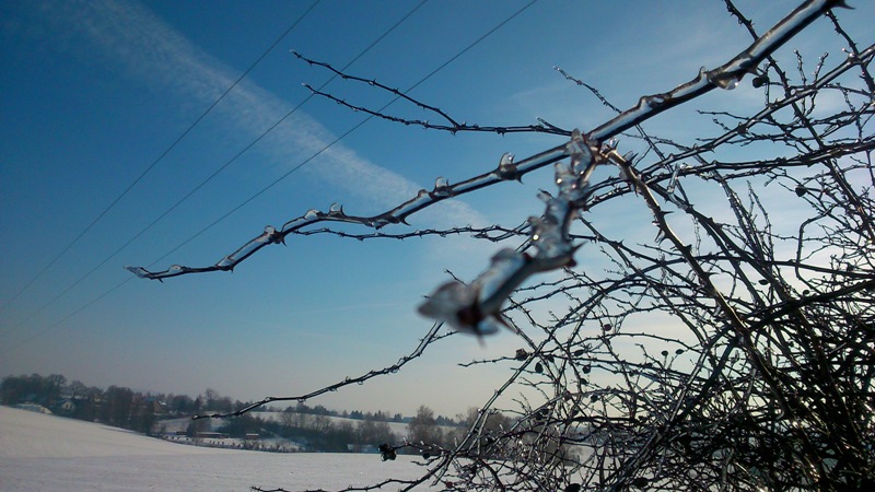 DSC_0049 - Kopie.jpg