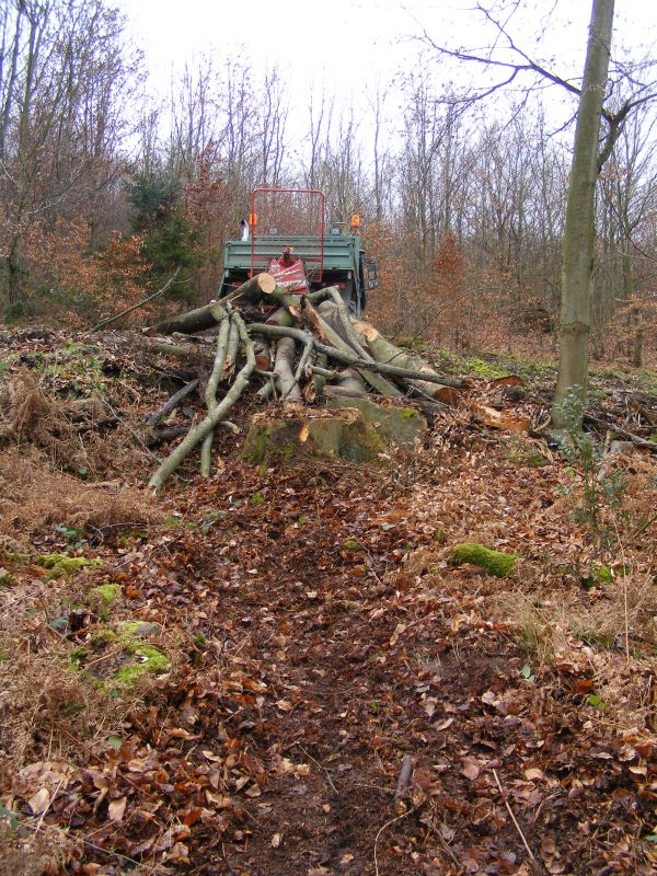holzmachen03.jpg