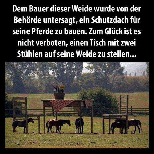 Behörde untersagt Schutzdach.jpg