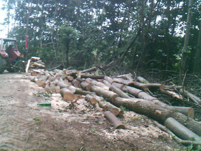 IMAGE_00008.jpg