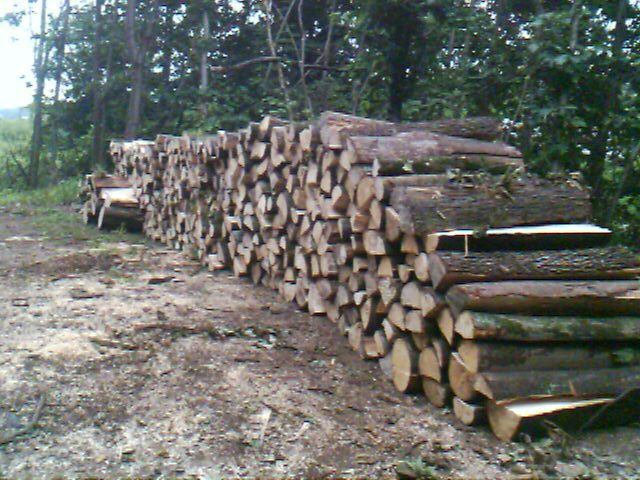 IMAGE_00009.jpg