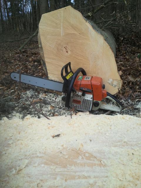 K640_2014-02-22 11.20.58.JPG