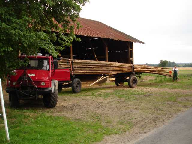 DSC03563.JPG