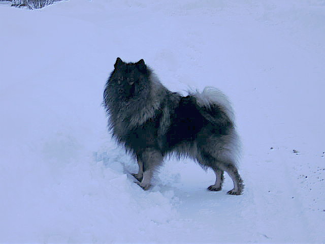 Winter 2010,2011 215.jpg