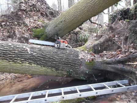 140222_Eiche BHD60_Abt_407_06_compressed.jpg