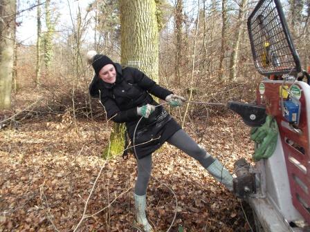 140222_Eiche BHD60_Abt_407_25_compressed.jpg