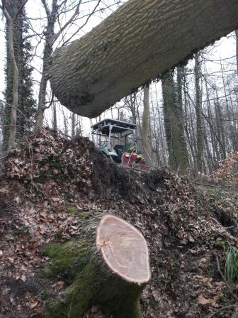 140222_Eiche BHD60_Abt_407_34_compressed.jpg