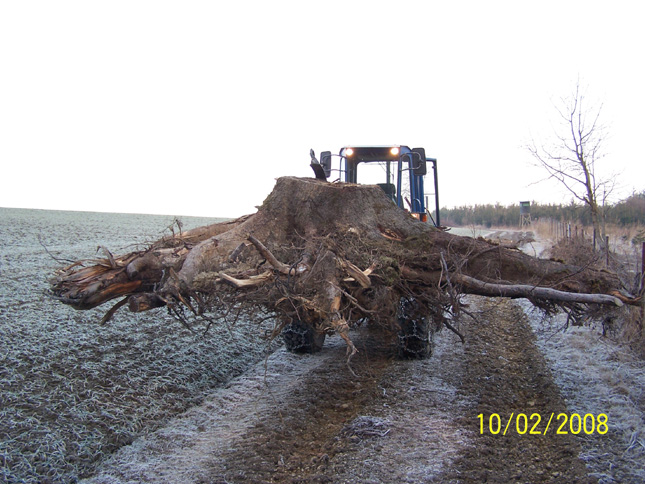 auktion saiser 011 Kopie.jpg