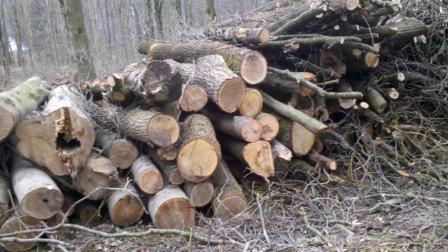 2014-03-01_17-01-14_750 (640x360).jpg