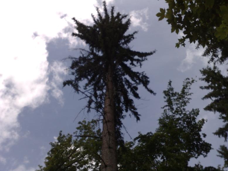 09072008621.jpg