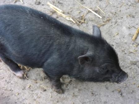 Töpferei 14 158.jpg