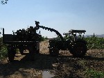 IMG_0441.jpg