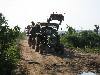 IMG_0447.jpg