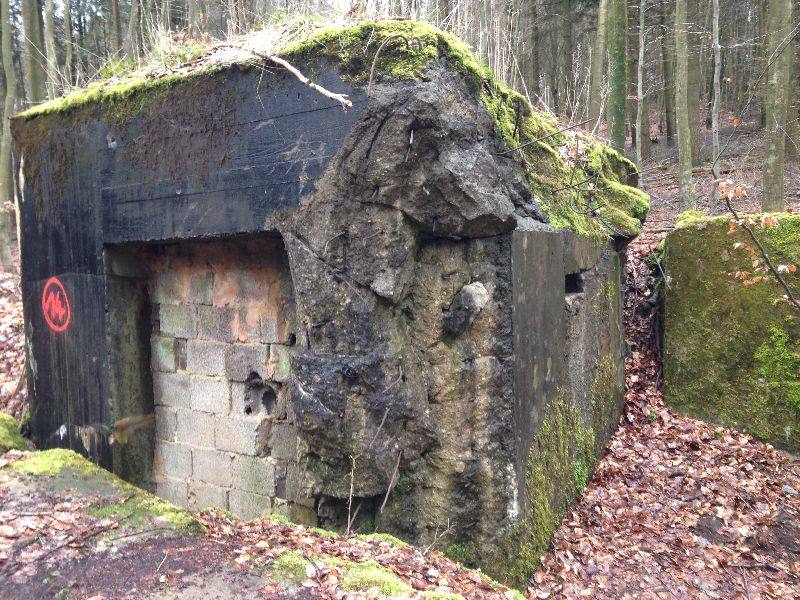 Holz transport 001.jpg