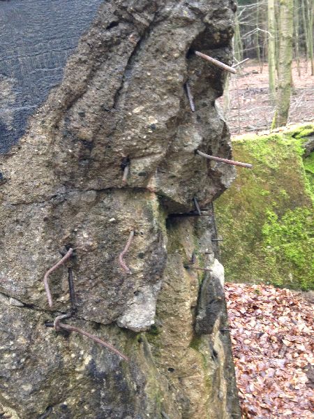 Holz transport 002.jpg