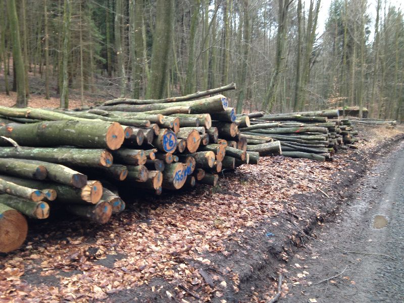 Holz transport 003.jpg