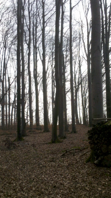 2014-03-06_12-57-16_995 (360x640).jpg