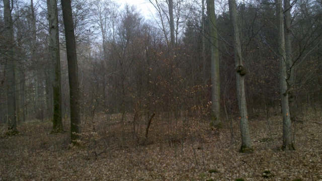 2014-03-06_12-57-30_562 (640x360).jpg