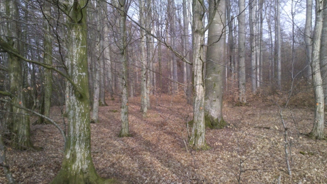 2014-03-06_12-59-20_335 (640x360).jpg