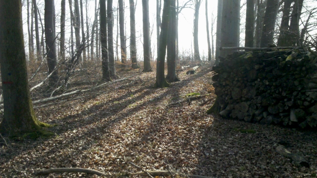 2014-03-07_13-38-50_438 (640x360).jpg