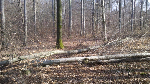 2014-03-07_13-38-56_870 (640x360).jpg