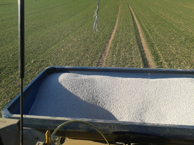 2014-03-11 16.29.40 (640x480).jpg