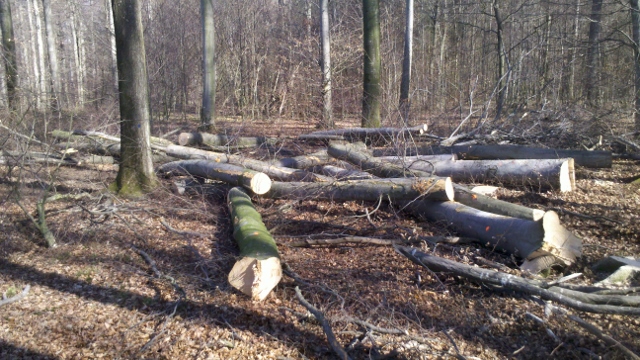 2014-03-11_11-36-09_687 (640x360).jpg