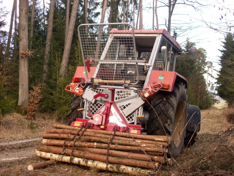 Durchforstung 11.jpg