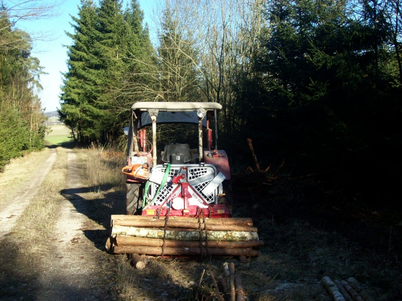 Durchforstung 10.jpg