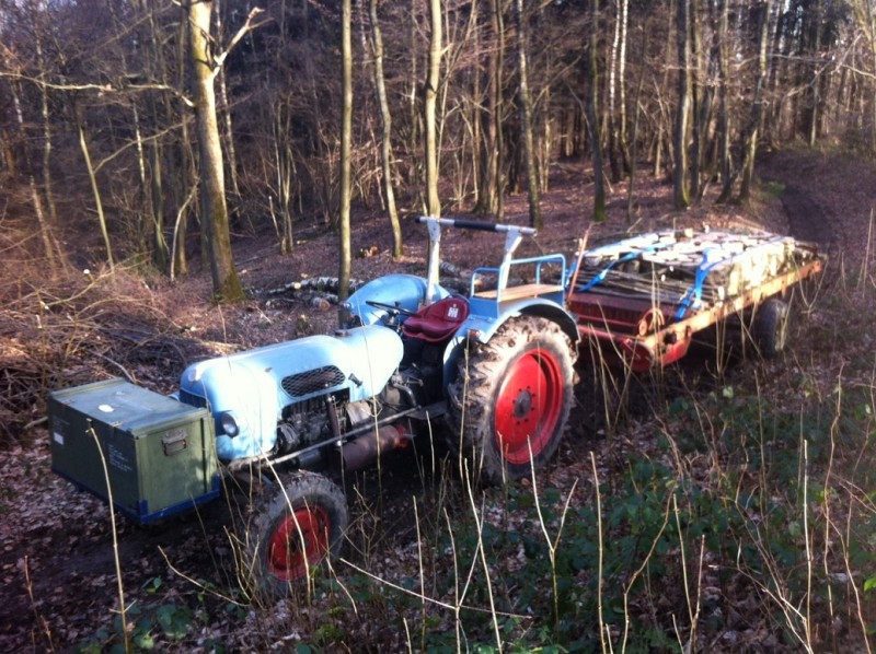 Wald1.JPG