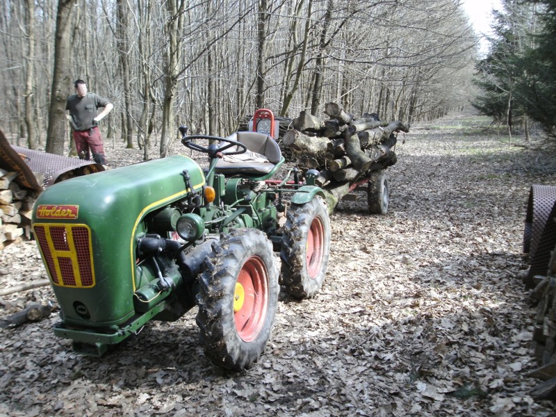 Rückewagen minimal.JPG