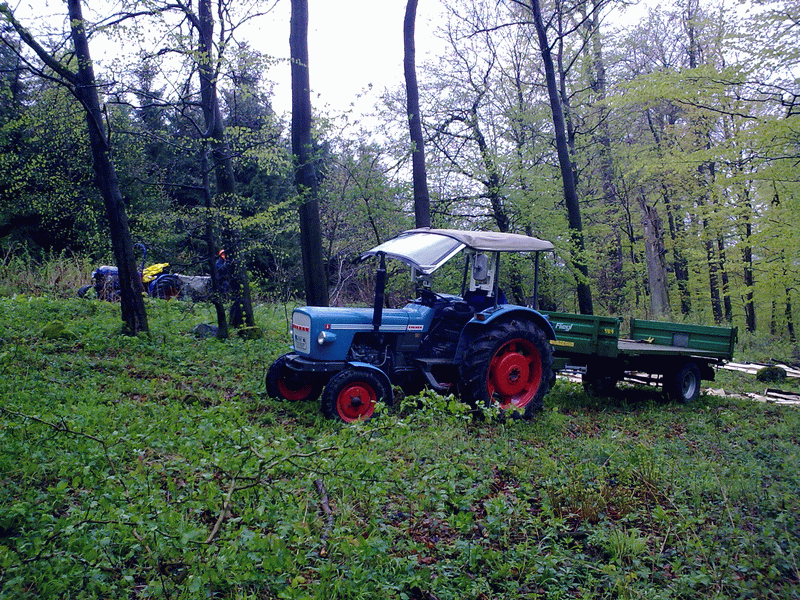 07052010138.gif