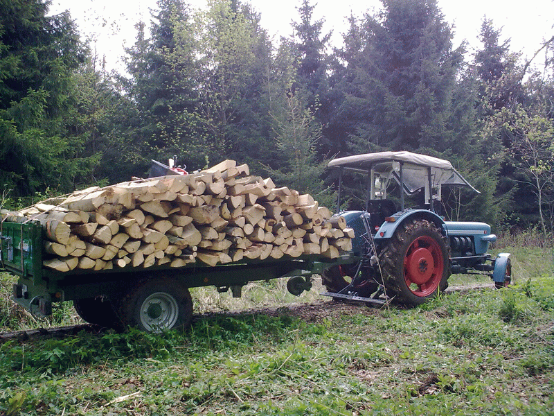 08052010148.gif