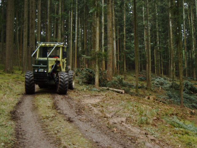 IMAG0012.JPG