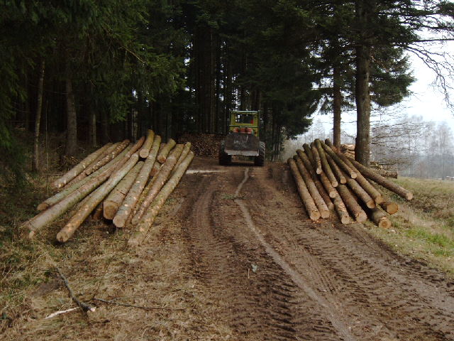 IMAG0017.JPG