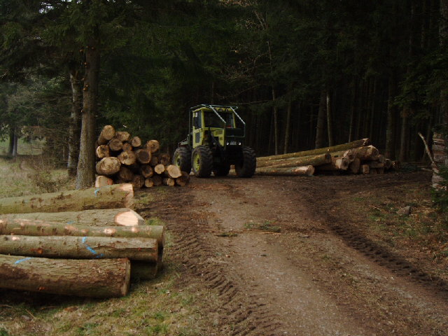 IMAG0014.JPG