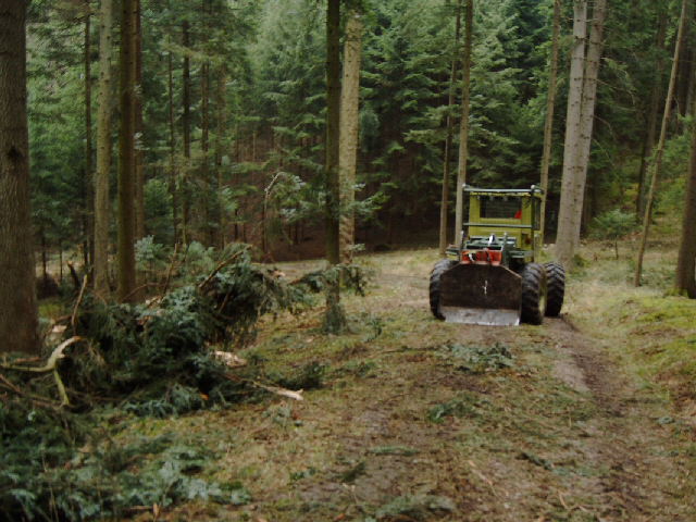 IMAG0008.JPG