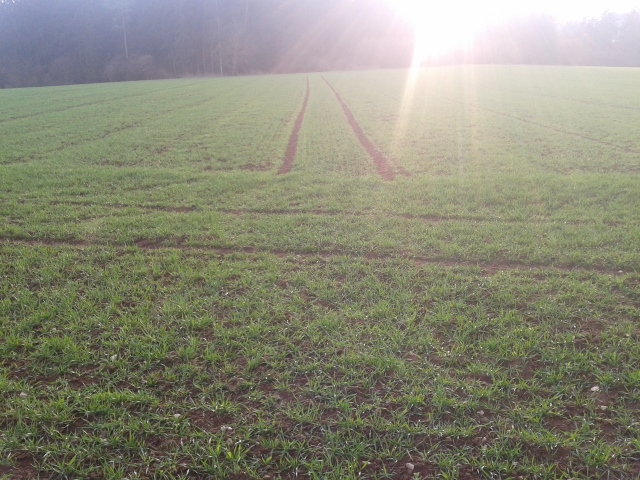 2014-03-24 17.15.15 (640x480).jpg