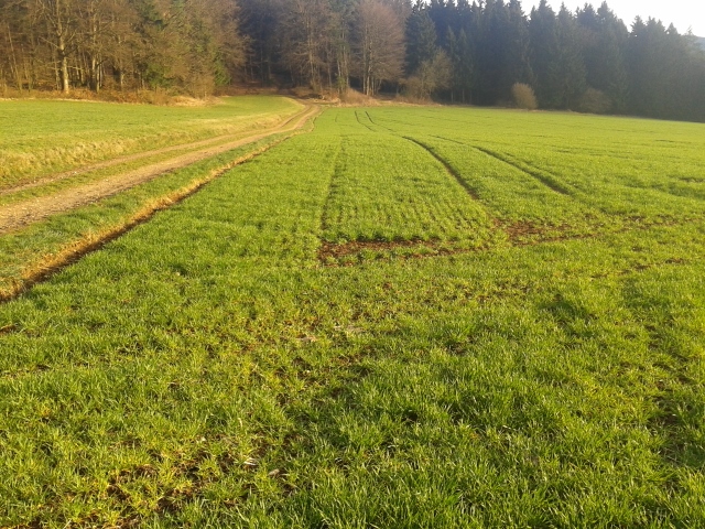 2014-03-24 17.17.15 (640x480).jpg