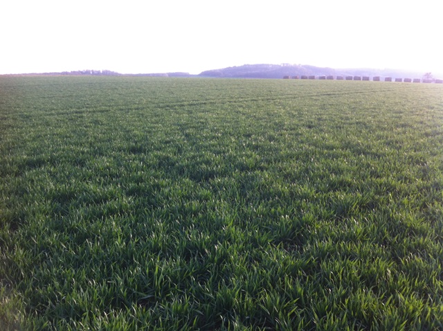 Ausflug Samstag 019.JPG