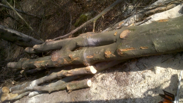 2014-03-28_15-30-32_274 (640x360).jpg