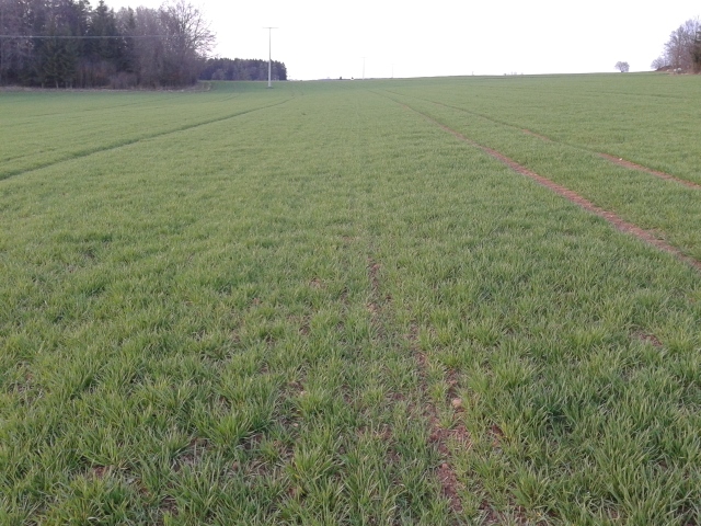 2014-03-30 19.21.56 (640x480).jpg