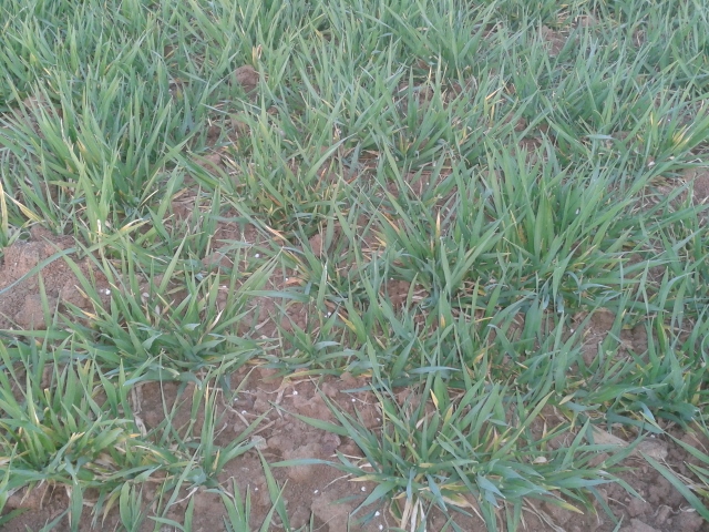 2014-03-30 19.21.27 (640x480).jpg